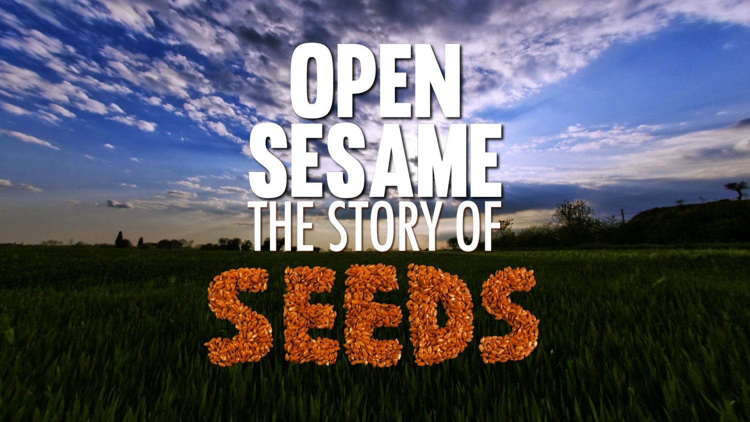 Open Sesame Poster