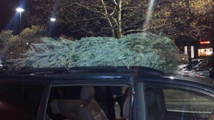Christmas-tree-roof