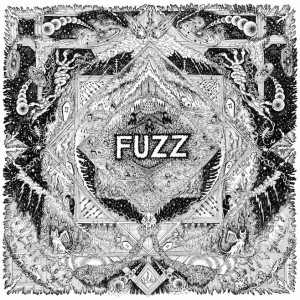 Fuzz-II