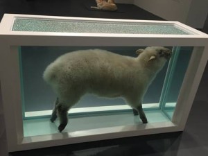 Lamb copy