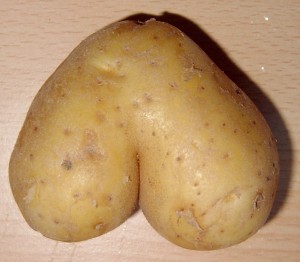 Potato_heart_mutation