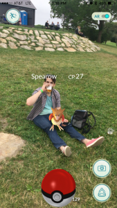 A wild Spearow appeared at Buzzards Bay Brewing!