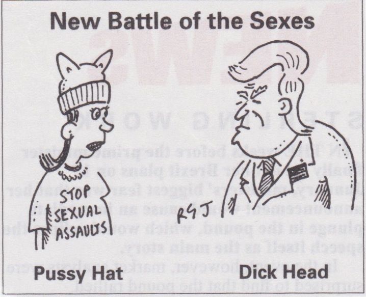 Pussy Hat