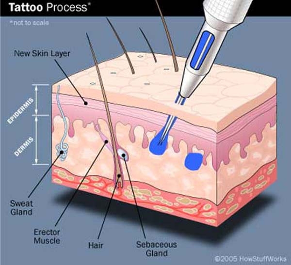 Tattoos at the Cellular Level - Motif