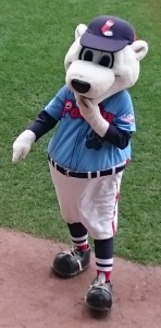 Paws_-_PawSox_mascot