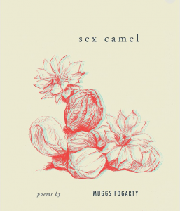 SexCamel