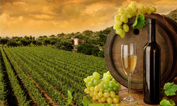 Bubbles for Valentines Day