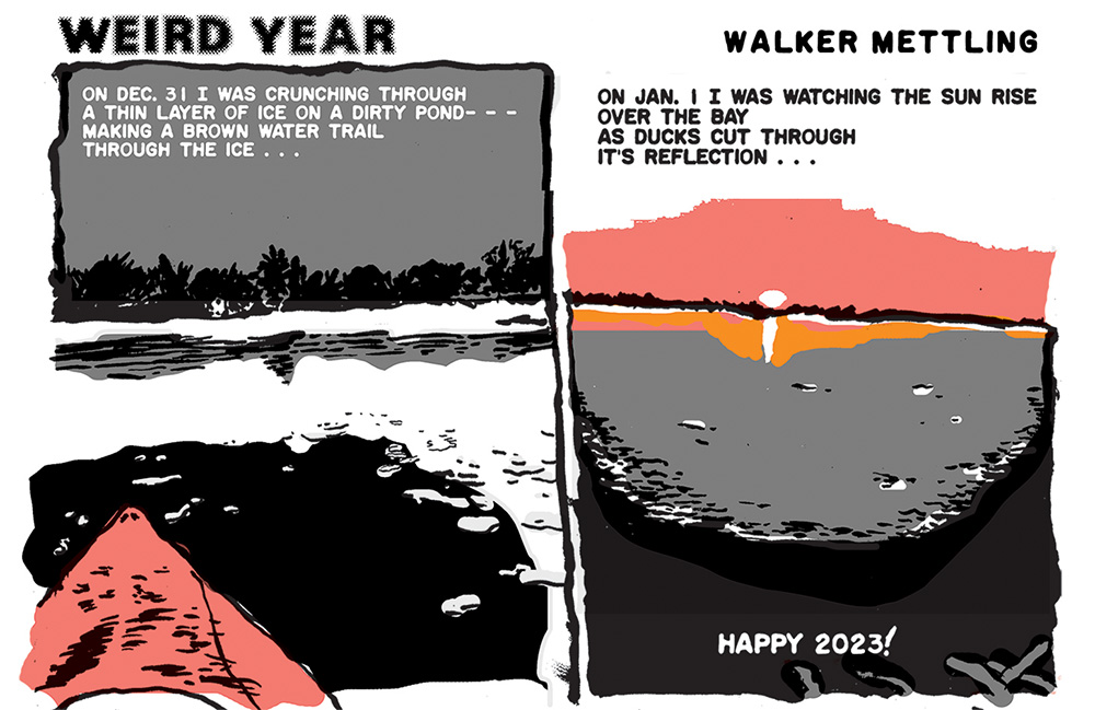 Weird Year comic